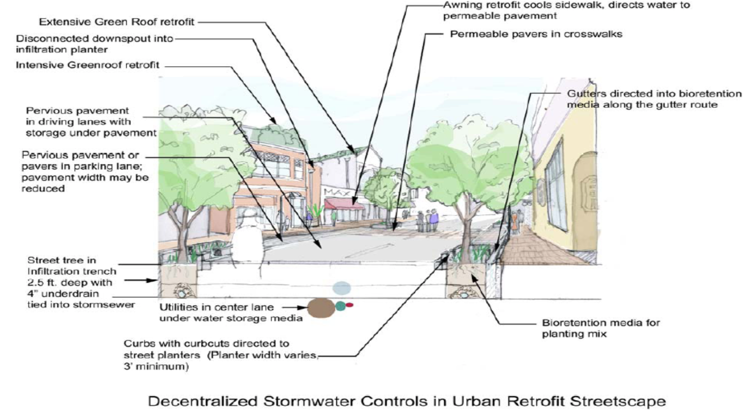 Figure 3.3 – Schematic example of engineered practices in an urban retrofit streetscape.