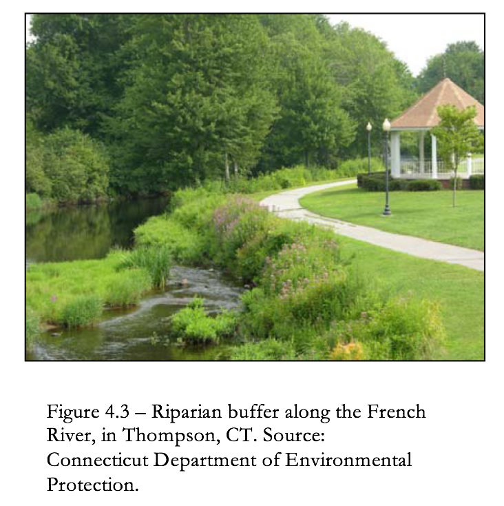 Figure 4.3 Riparian buffer along the French River in Thompson, CT