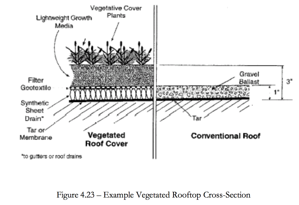 Figure 4.23 Example of vegetated rooftop cross section.
