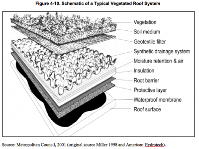 Typical Vegetated Roof System