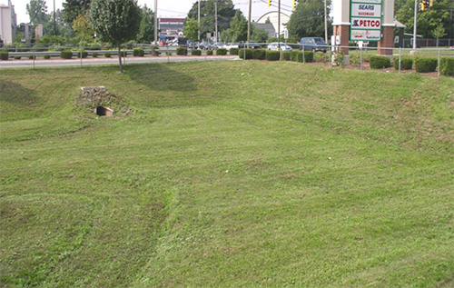 Extension swale image
